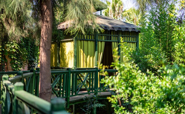 Amelia Beach Resort Hotel & Spa 5* - Изображение 13