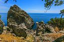 Виноделие в Крыму