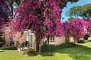 Pine Beach Belek 5* - Изображение 0