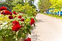 Курортный отель «Дельфин»